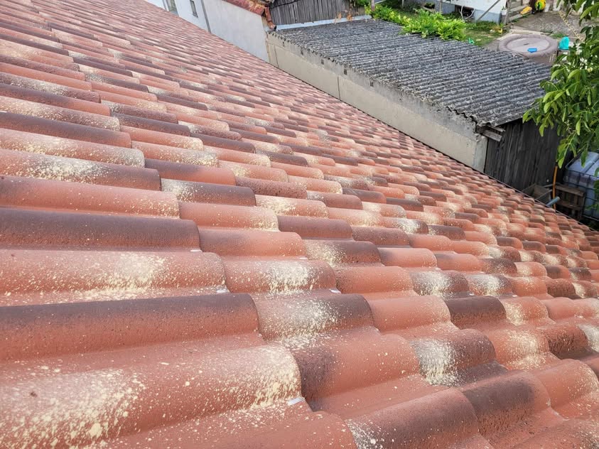 Škridla Terran Coppo Ferrara - Trnovec - foto 3
