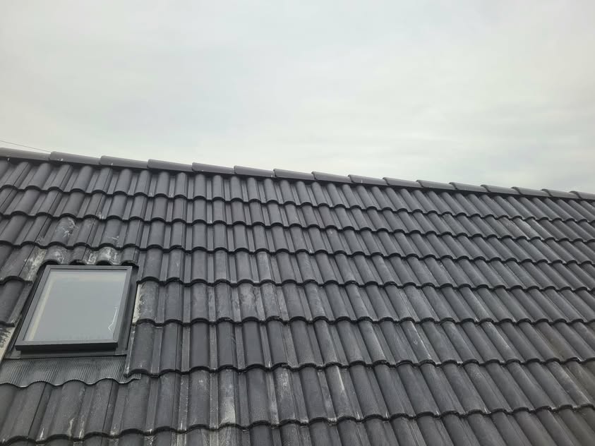 Škridla Terran Danubia Evo Carbon čierna - Holíč - foto 4