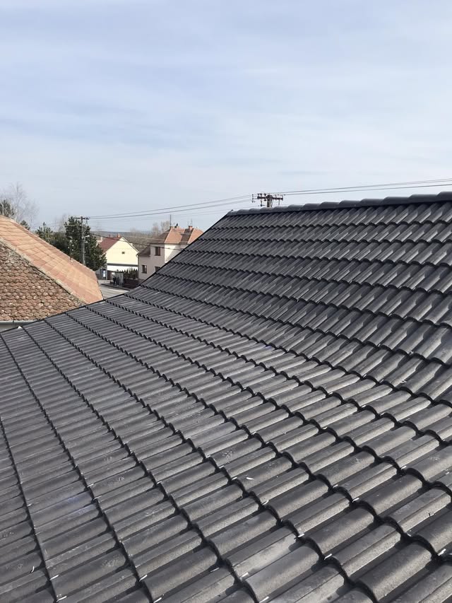 Škridla Terran Danubia Evo Carbon čierna - Kopčany - foto 4